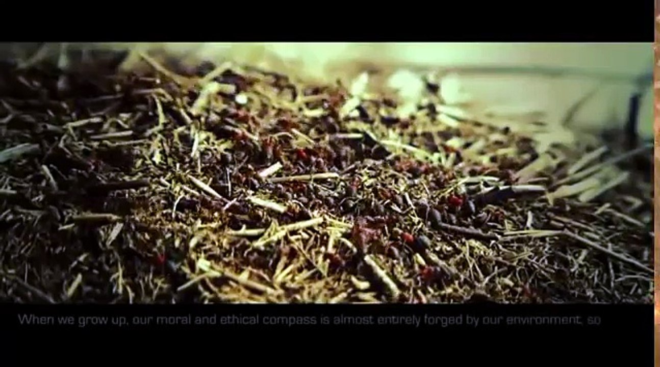 The Theory Of Everything - Quantum Physics And Consciousness (Documentary)