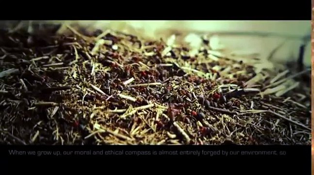 The Theory Of Everything - Quantum Physics And Consciousness (Documentary)