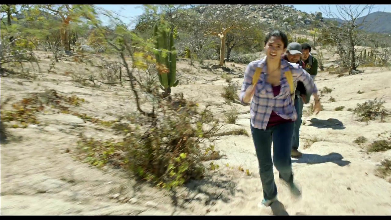 Desierto Movie 2016