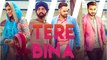 Tere Bina _ Monty & Waris feat Ginni Kapoor _ Sad Song