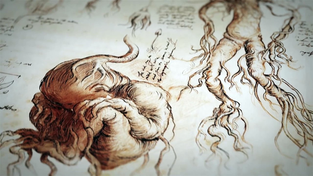 Harry Potter and the Chamber of Secrets - Illustrated Edition Animated Book Trailer [HD]