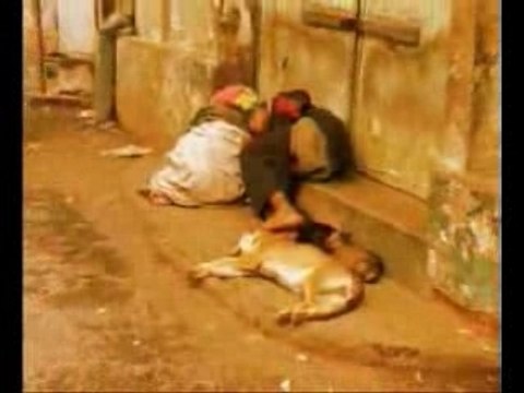 Rakoto frah jr - tena marina tokoa