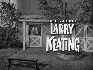 Mister Ed S2 | Bald Horse