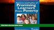 Big Deals  Patterns and Profiles of Promising Learners From Poverty (The Critical Issues in Equity