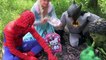 Frozen Elsa’s POOL SURPRISE! w/ Spiderman Maleficent Pink Spidergirl Joker! Funny Superhero Video