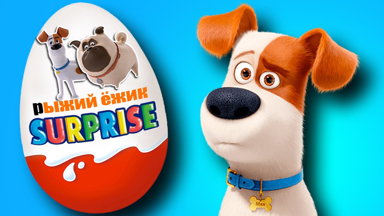 Мультики. Тайная жизнь домашних животных. Киндер Сюрприз. The Secret Life of Pets. Kinder Surprise