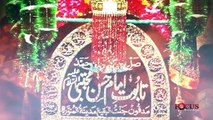 Wawela Hassan a.s Wawela (Faraz Masoomi Vol 8.2016-17)