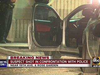 Police shot man after he tried to run them down with a car