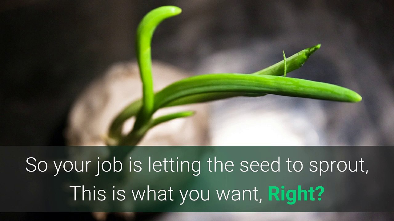 Sprouting Seed Module-3 : Pregnancy Yoga Therapy Part – I