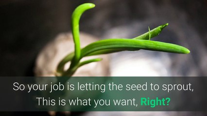 Sprouting Seed Module-3 : Pregnancy Yoga Therapy Part – I