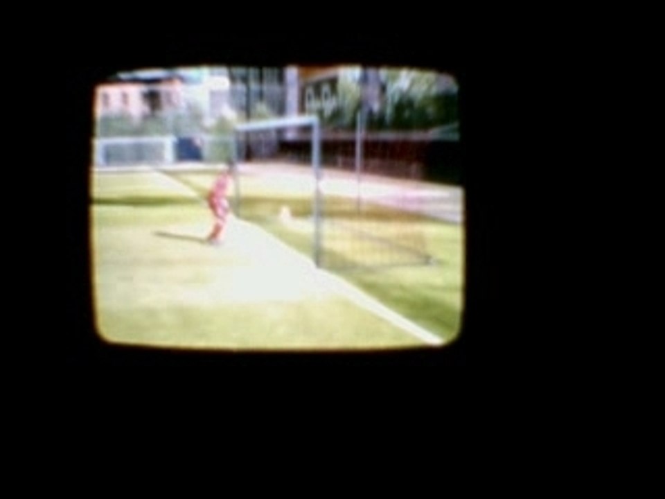 but dans fifa07