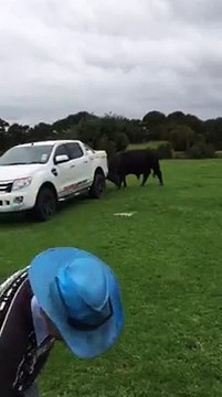 La technique de ce vieil homme pour faire fuir un taureau