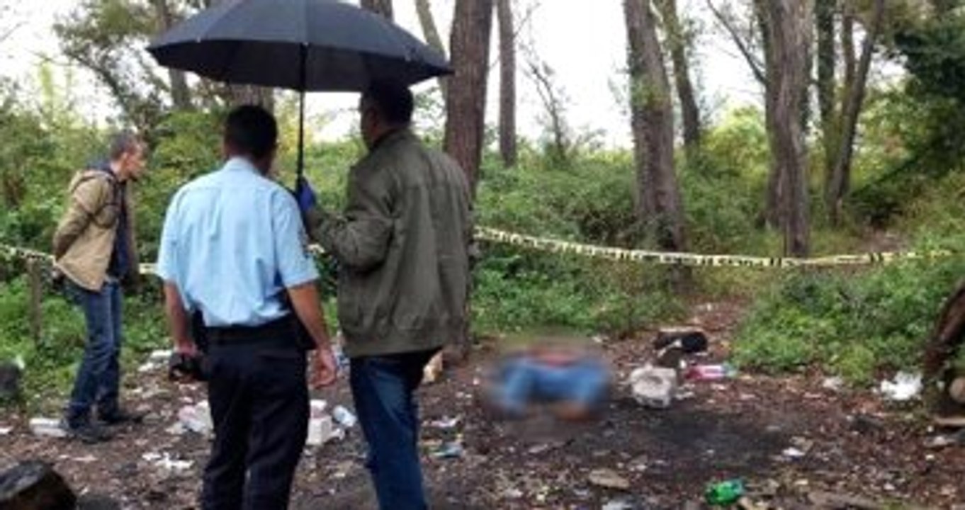 Ağaçlık Alanda Erkek Cesedi Bulundu