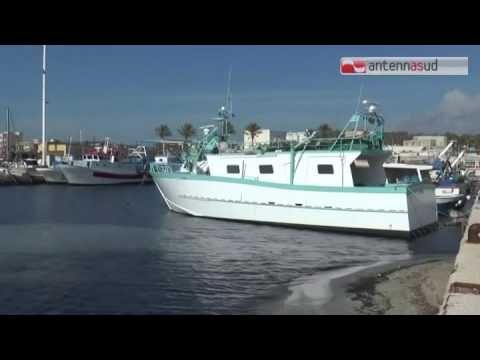 TG antennasud 27 09 2016 Il pesce fresco torna sulle nostre tavole, stop al fermo