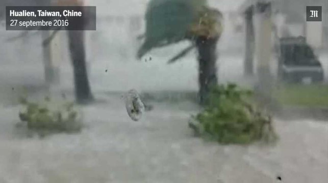 Le typhon Megi fait cinq victimes à Taïwan et en Chine