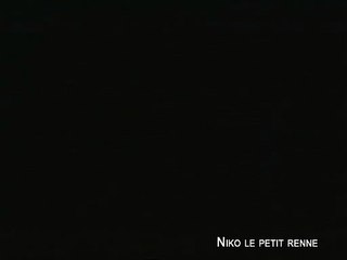 NIKO, LE PETIT RENNE - Bande-annonce
