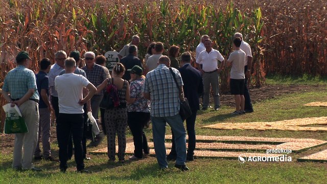 Održani 44. Dani polja Instituta za kukuruz „Zemun Polje“