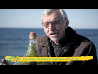 Haberin Olsun - 13.03.2016