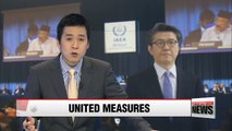 S. Korea's nuclear chief calls for united measures against N. Korea's nuclear threats