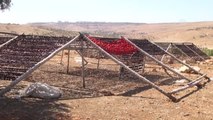 Gaziantep'in Kurutulmuş Sebzeleri Dünya Mutfaklarında