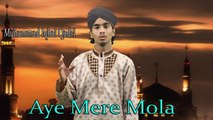 Muhammad Iqbal Qadri - Aye Mere Mola