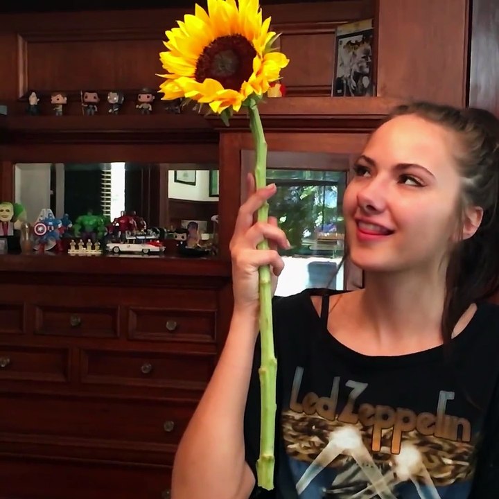 Try not to Laugh