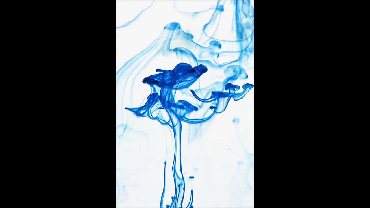 Will Plumbing LLC - (301) 298-1683