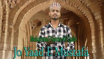 Muhammad Hamza Ali Qadri - Jo Yaad E Mustafa