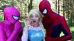 Poison Ivy vs Örümcek Adam & Frozen Elsa! W_ Pembe Spidergirl Maleficent, Joker, Anna & Candy _)