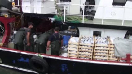 Marmara'da Palamut Bereketi - Balıkesir