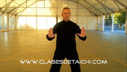 Longevidad, 24 Movimientos