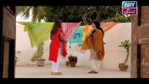 Haal-e-Dil Ep 15 - ARY Zindagi Drama