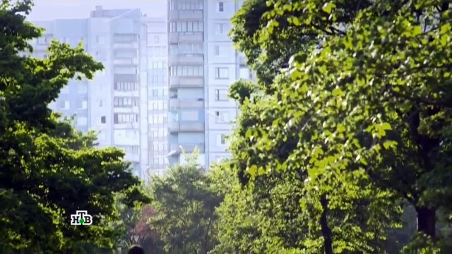 Гончие 6 сезон 10 серия | Смотреть сериал Гончие новый 6 сезон онлайн 10 серия | Гончий 6