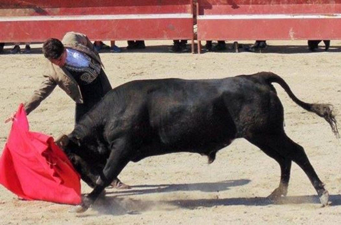 Manuel de Reyes en Peñaflor