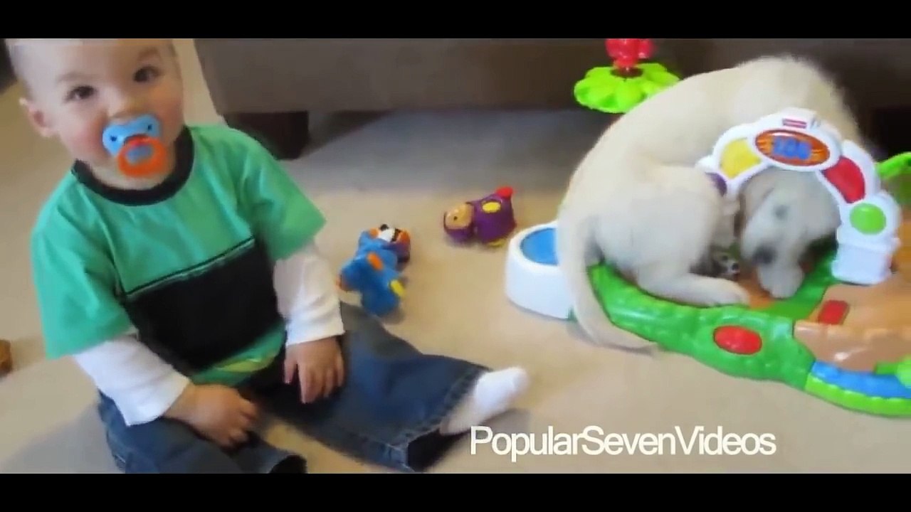 Bebeklerin Sevimli Kedi ve Köpeklerle Oynama Videoları - Komik Videolar 2015