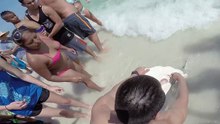 Ils viennent à la rescousse d'un requin ayant plusieurs hameçons dans la gueule et un fil de pêche enroulé