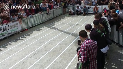 Sausage dogs racing in slow-motion is adorable