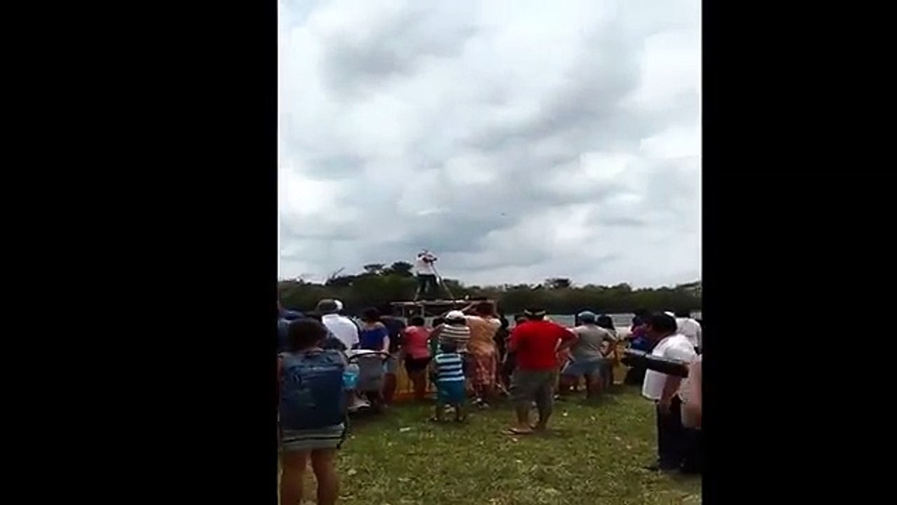 Stunt pilot crashed