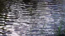 Royalty free Nature - Amazing Fountain's ripples - HD