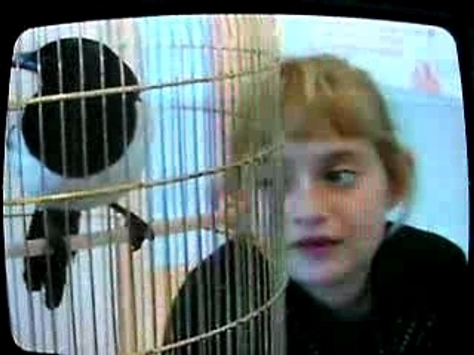 30 Millions d'amis - Titoune, la pie amie