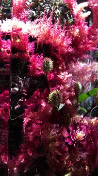 Beautiful installations of flowers frozen in ice cubes by Azuma Makoto for Dries Van Noten @driesvannoten @azumamakoto #driesvannoten #azumamakoto #pfw