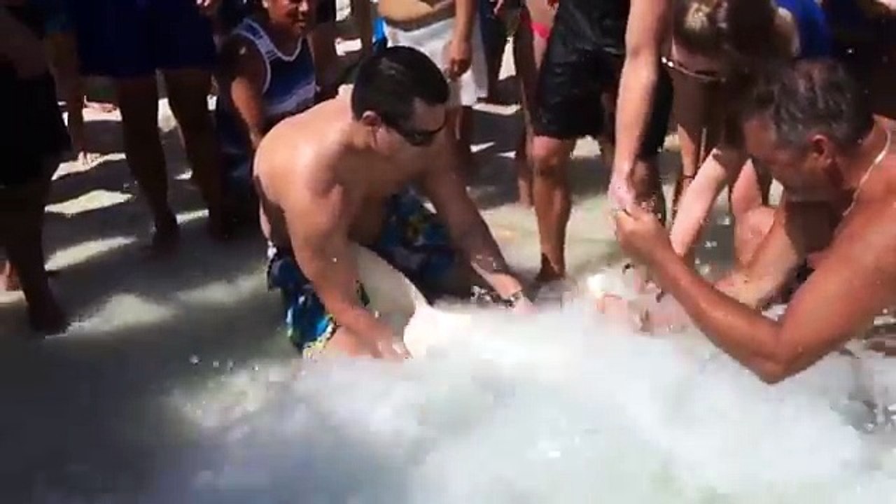 Man Drags A Shark Out The Water With His Bare Hands To Save Its Life