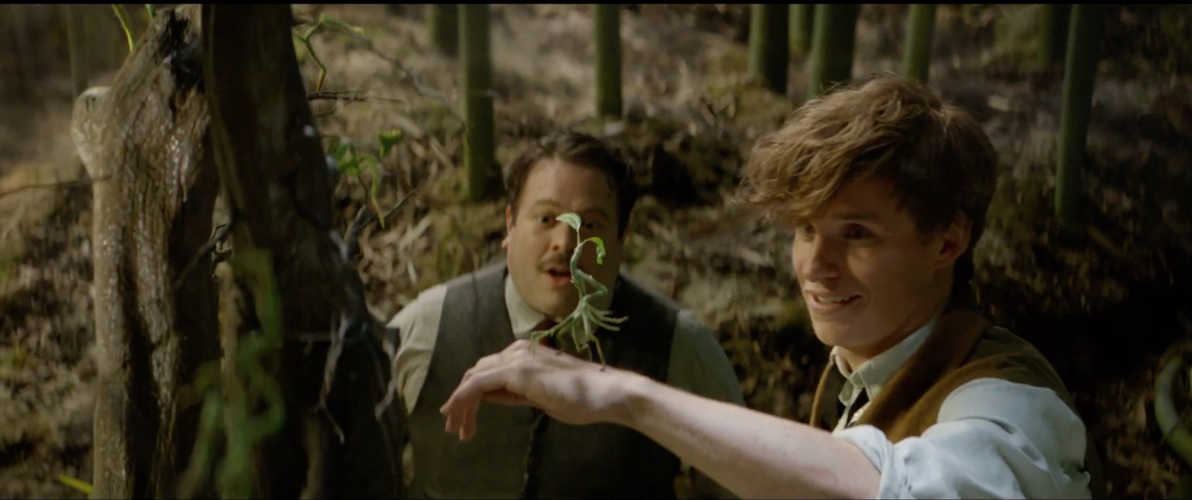 Fantastic Beasts and Where to Find Them Full Trailer