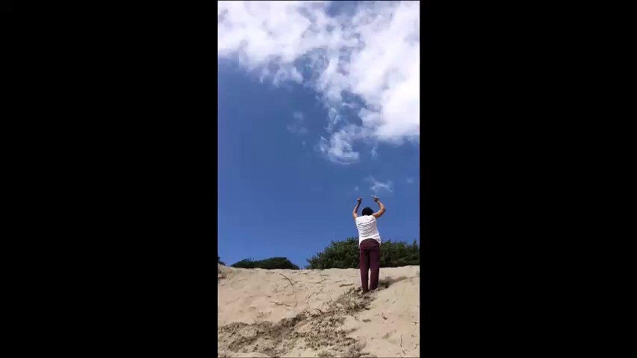 MY BEST FLASH KICK BRUCE LEE KUNGFU JEETKUNEDO Piero Piromallo Roma