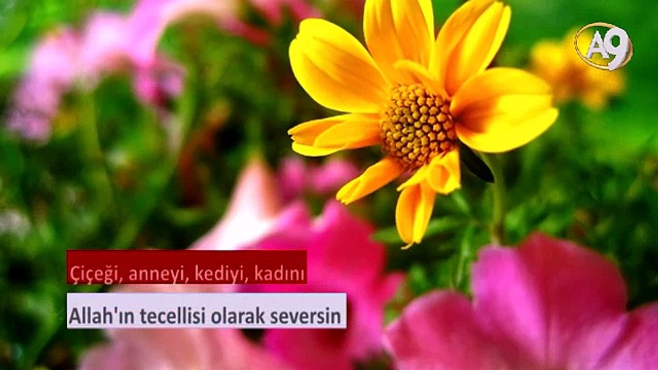 Sevginin sırrı
