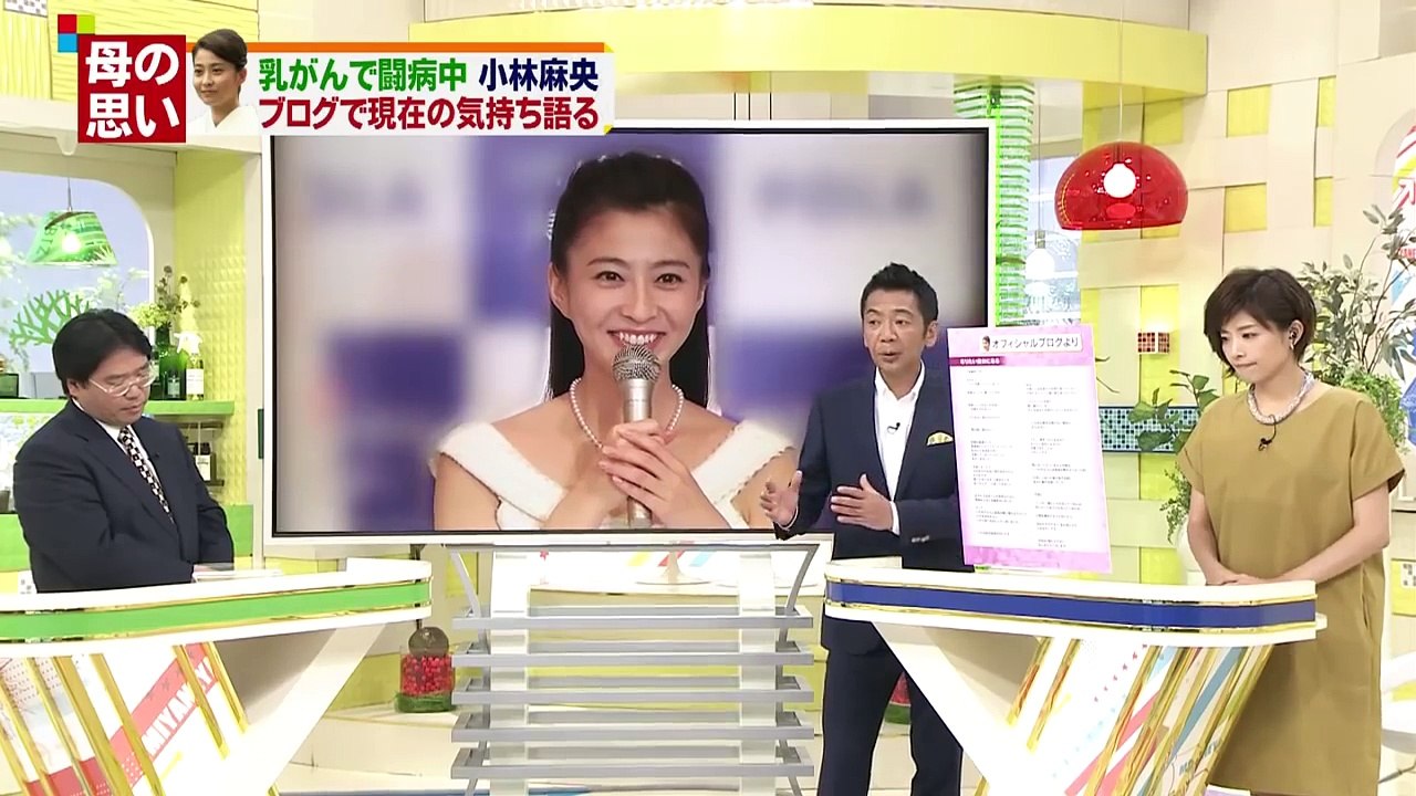 海老蔵･小林麻央に｢重大発表詐欺｣の声!ﾌﾞﾛｸﾞ開設?かつら装着!