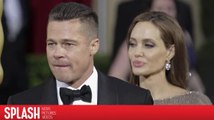 Angelina Jolie Attempting to 'Destroy' Brad Pitt