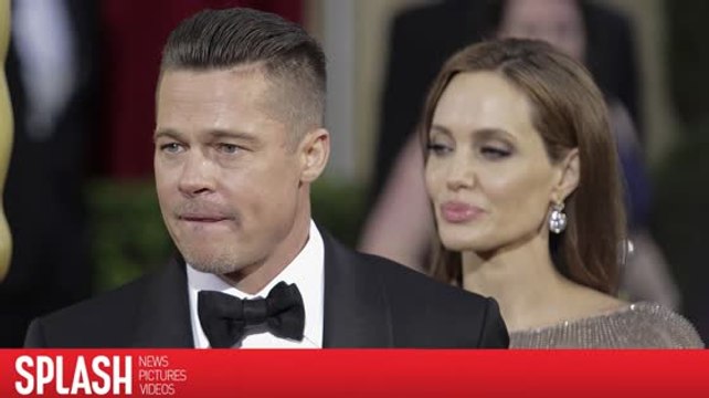 Angelina Jolie Attempting to 'Destroy' Brad Pitt