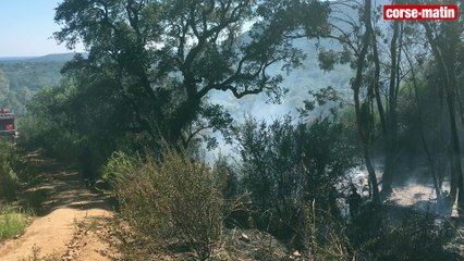 Sainte-Lucie-de-Porto-Vecchio : près de deux hectares détruits