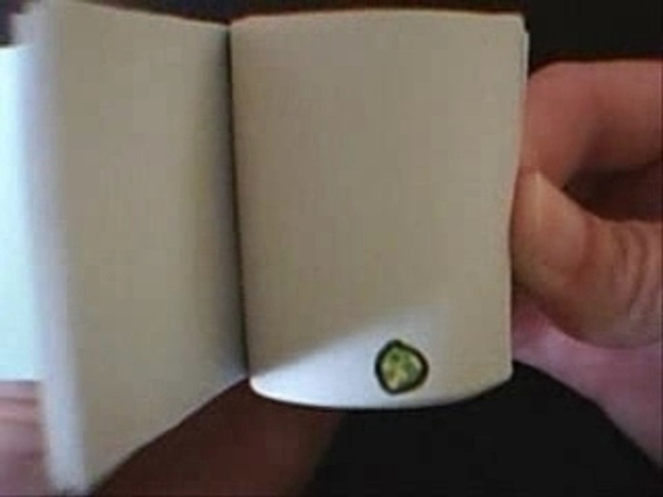 Flipbook, séance 1